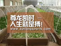 环境展示五