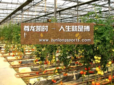 种植基地二