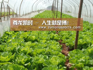 种植基地五