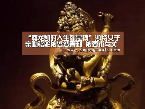尊龙凯时官网